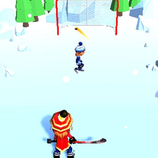 Hockey Challenge 3D